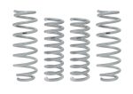 Eibach Drag Launch Kit (Competition Springs) for 2015-2020 Dodge Challenger SRT Hellcat Online Hot Sale